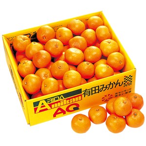 和歌山県産　有田みかん