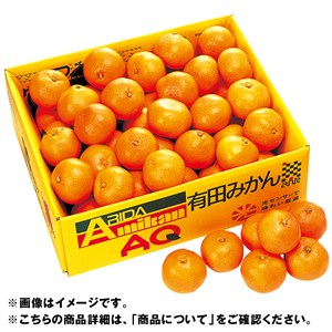 和歌山県産　有田みかん