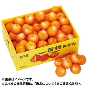 和歌山県産　田村みかん