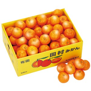 和歌山県産　田村みかん