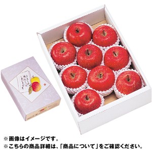 福島県産　片平さんのふじ