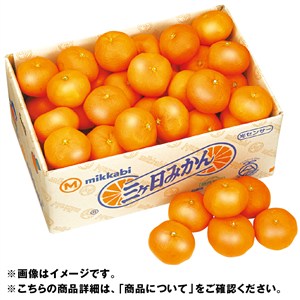 静岡県産　三ヶ日みかん