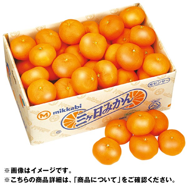 静岡県産　三ヶ日みかん