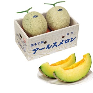 熊本県産　アールスメロン