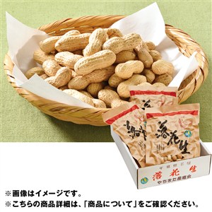 千葉県八街産　落花生（千葉半立種）[yd70]