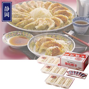 静岡Ｂ級グルメ浜松餃子４５粒