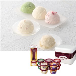 ＜ハーゲンダッツ＞アイスクリームミニカップ10個